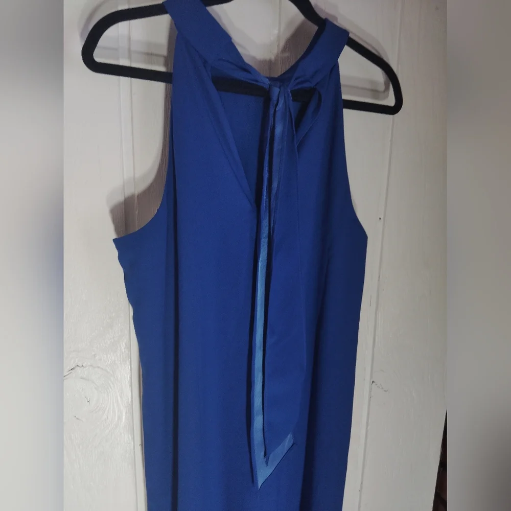 Lilly Pulitzer Cobalt Blue Sleeveless Maxi Dress - Picture 9 of 10